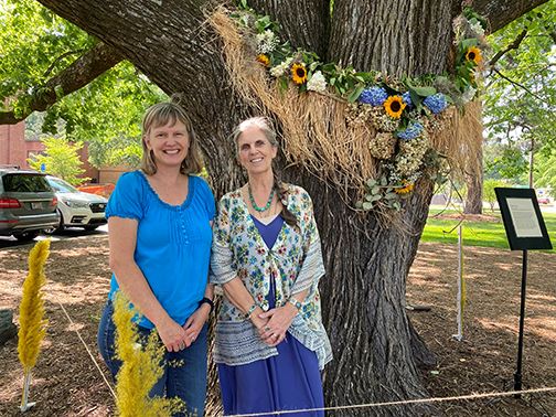 art installation at elm tree