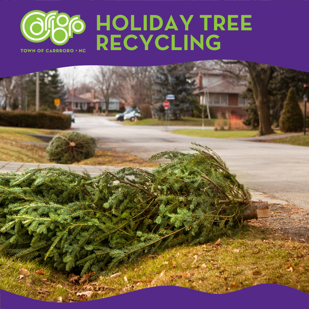 holiday Tree Recycling