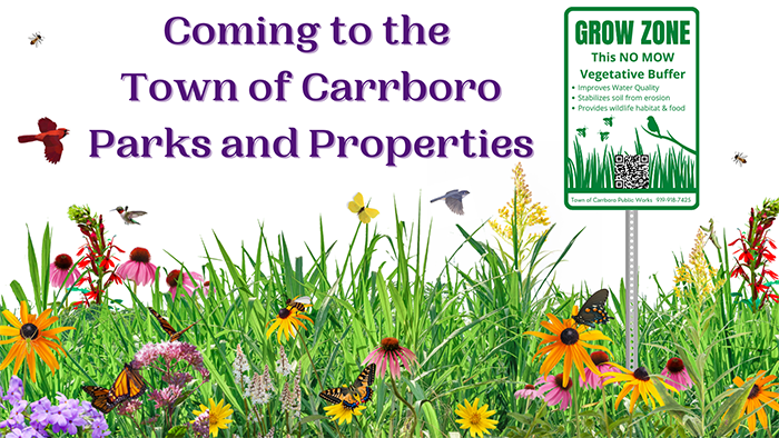 Coming to the Town of Carrboro Parks and Properties
